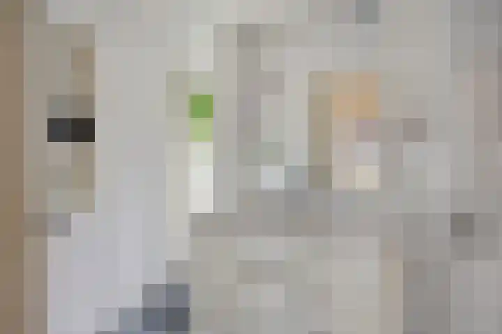 Leliestraat 52 Beek en Donk thumbnail 21