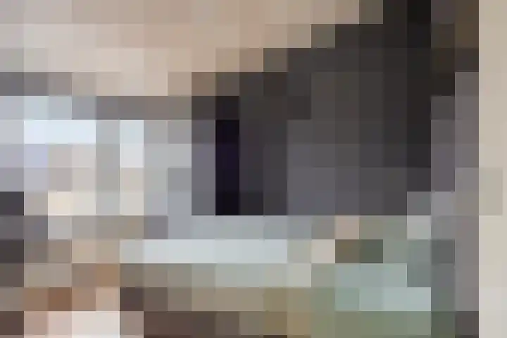 Leliestraat 52 Beek en Donk thumbnail 24