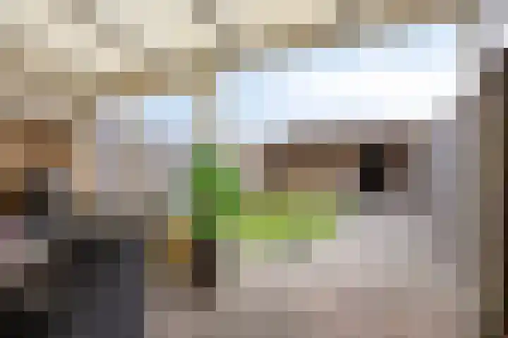Leliestraat 52 Beek en Donk thumbnail 37
