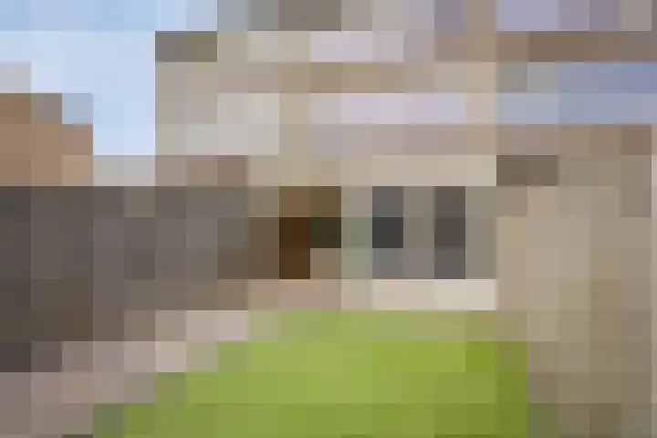Leliestraat 52 Beek en Donk thumbnail 4