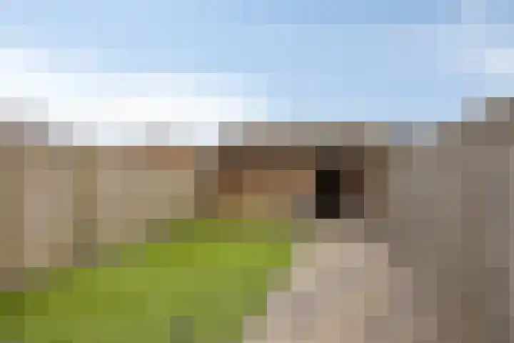 Leliestraat 52 Beek en Donk thumbnail 40