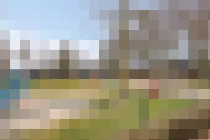 Leliestraat 52 Beek en Donk thumbnail 44
