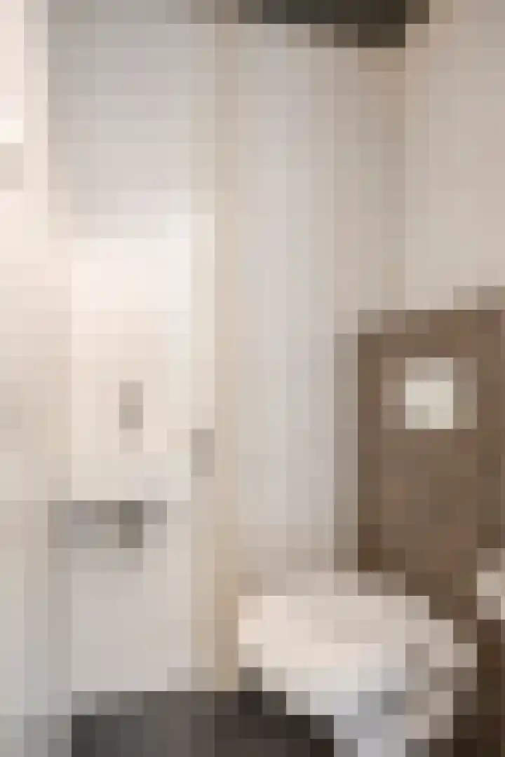 Leliestraat 52 Beek en Donk thumbnail 8
