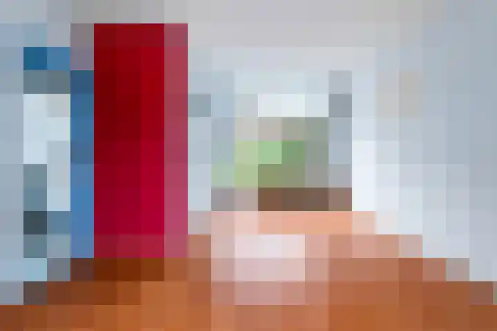 Leliestraat 54 Spijkenisse thumbnail 16