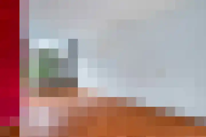 Leliestraat 54 Spijkenisse thumbnail 17