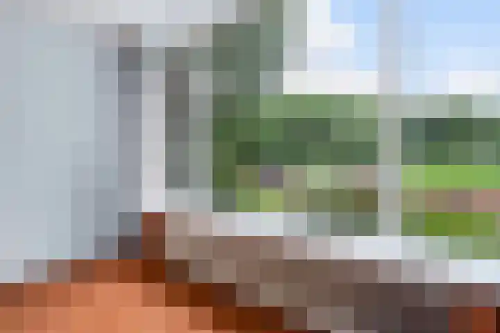 Leliestraat 54 Spijkenisse thumbnail 18
