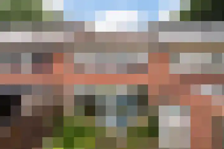 Leliestraat 54 Spijkenisse thumbnail 23