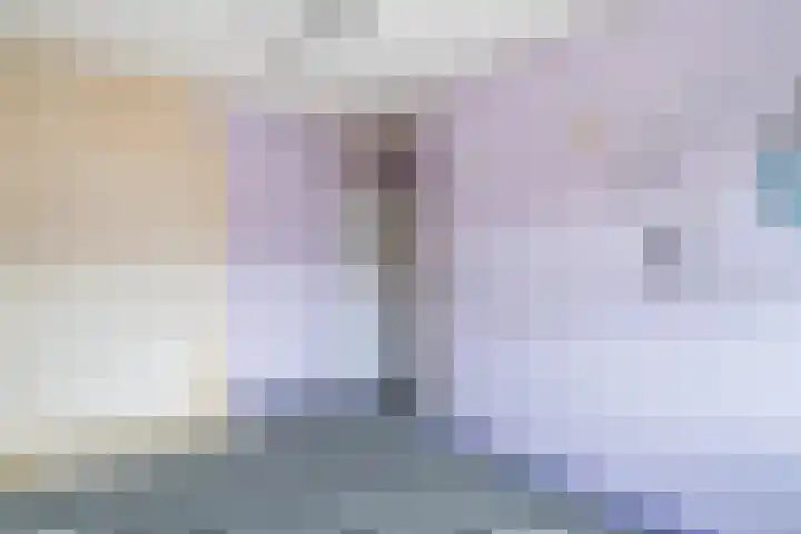 Leliestraat 54 Spijkenisse thumbnail 33