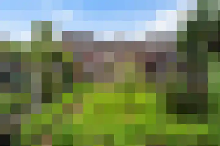 Leliestraat 54 Spijkenisse thumbnail 7