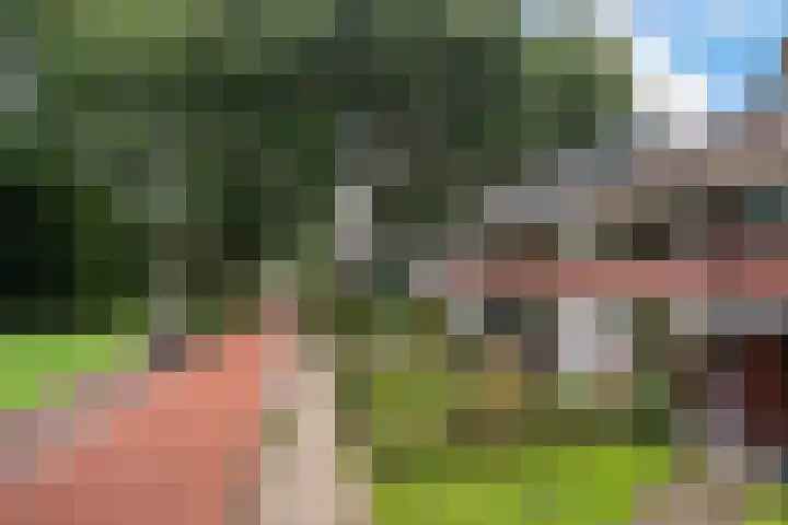 Leliestraat 54 Spijkenisse thumbnail 9