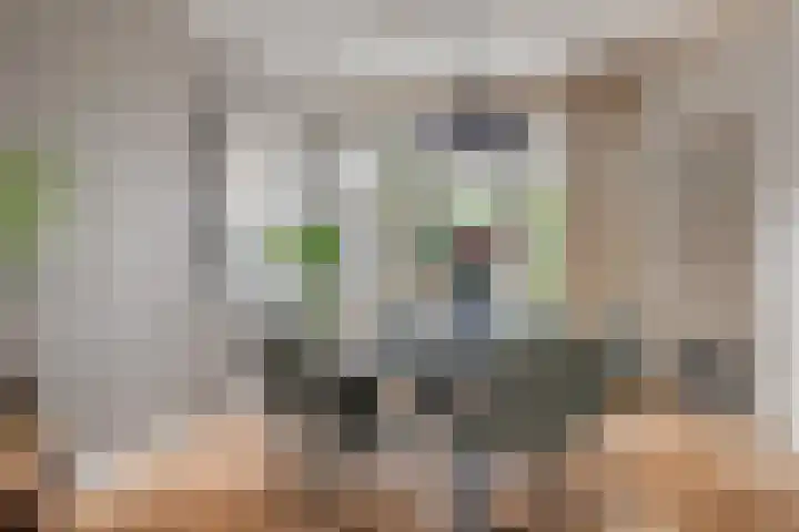 Leliestraat 55 Goes thumbnail 17