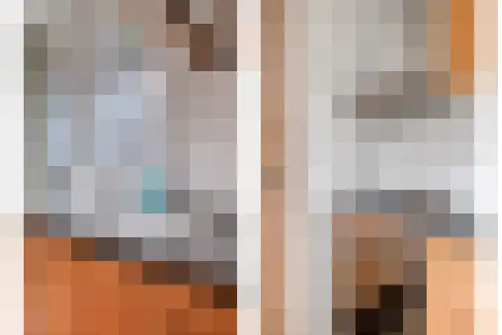 Leliestraat 55 Goes thumbnail 21