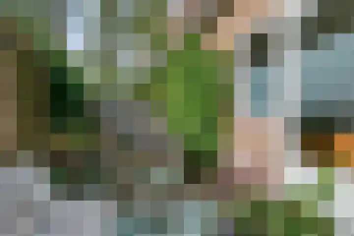 Leliestraat 55 Goes thumbnail 37