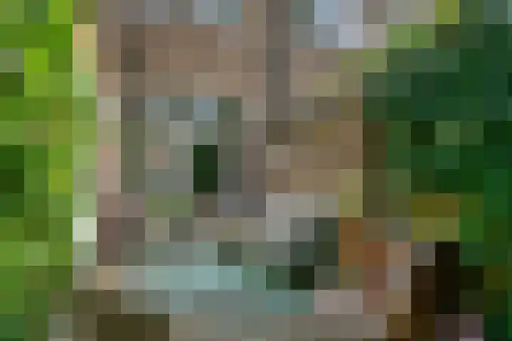 Leliestraat 55 Goes thumbnail 38