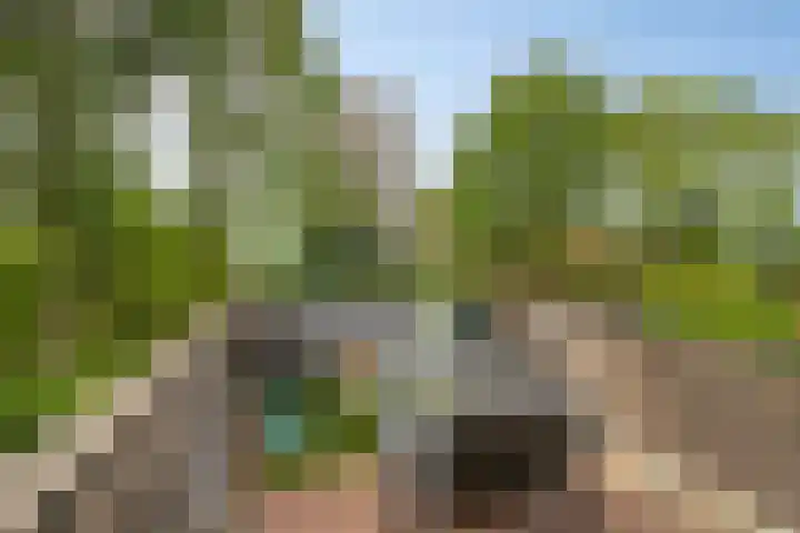 Leliestraat 55 Goes thumbnail 4