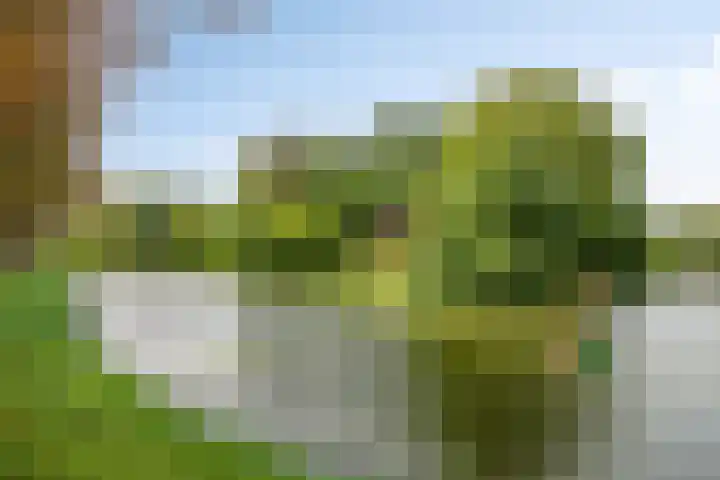Leliestraat 55 Goes thumbnail 41