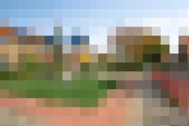 Leliestraat 55 Goes thumbnail 43