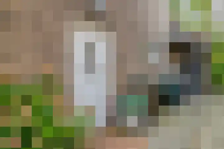 Leliestraat 55 Goes thumbnail 8
