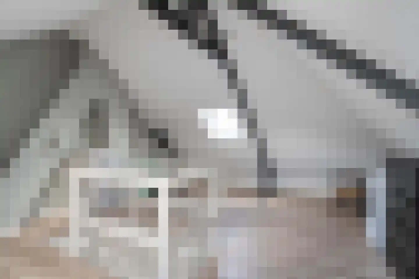 Leliestraat 57 Zwolle thumbnail 32