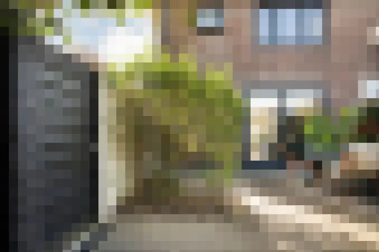 Leliestraat 57 Zwolle thumbnail 36