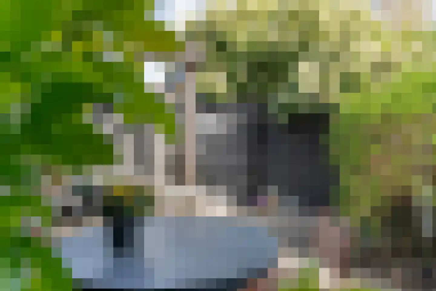 Leliestraat 57 Zwolle thumbnail 38