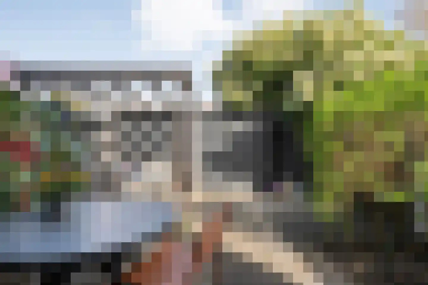 Leliestraat 57 Zwolle thumbnail 39