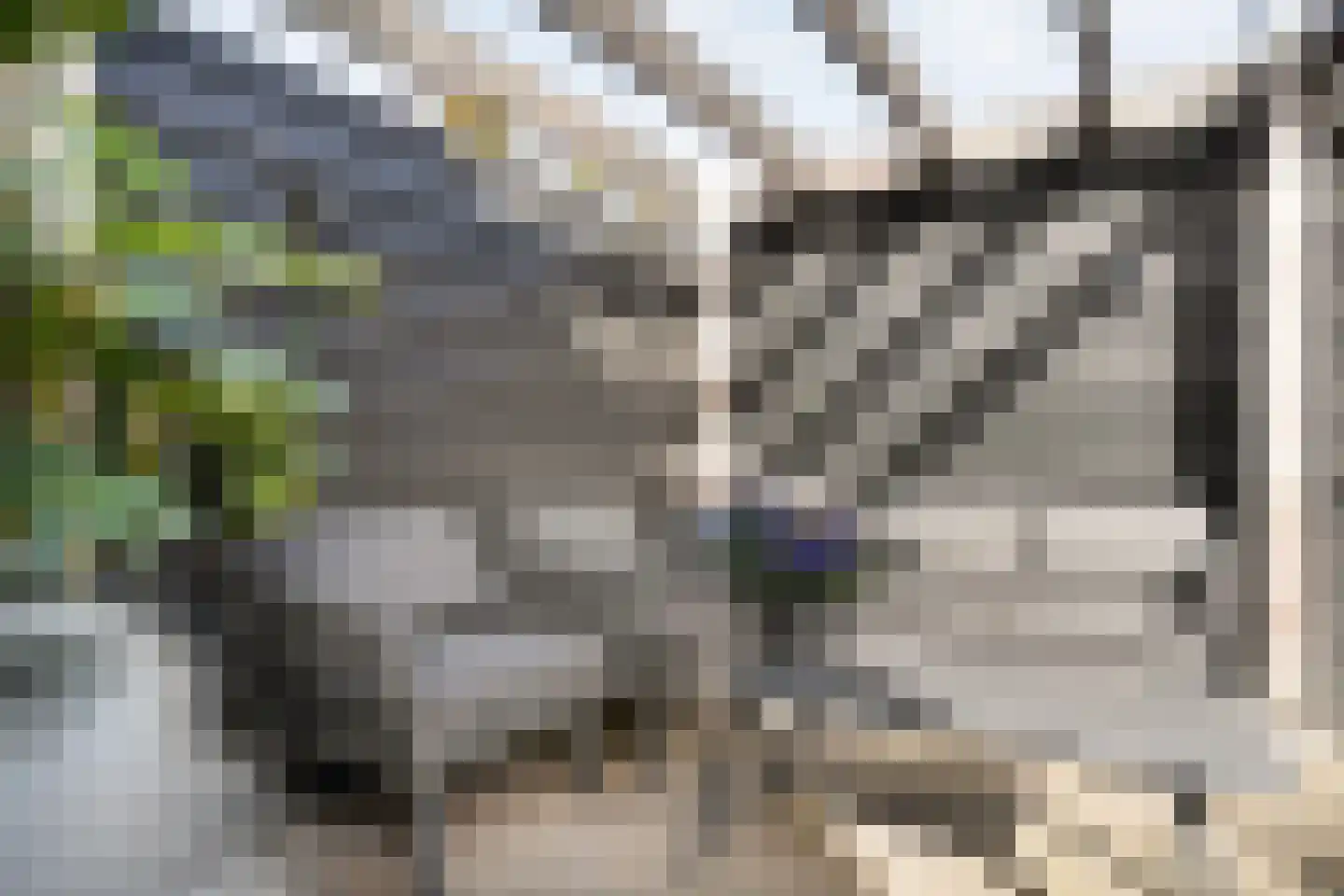 Leliestraat 57 Zwolle thumbnail 41