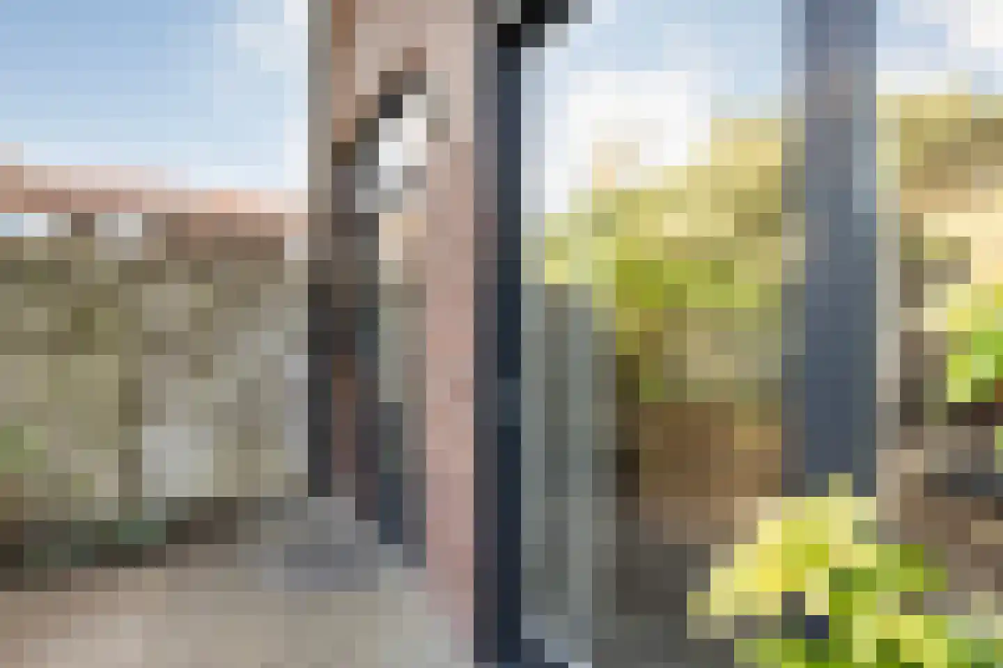 Leliestraat 57 Zwolle thumbnail 42