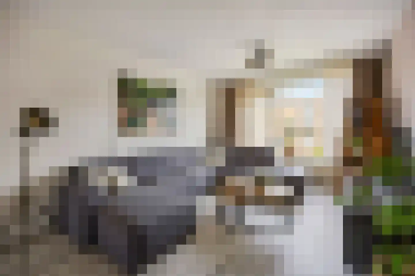 Leliestraat 58 Echt thumbnail 14