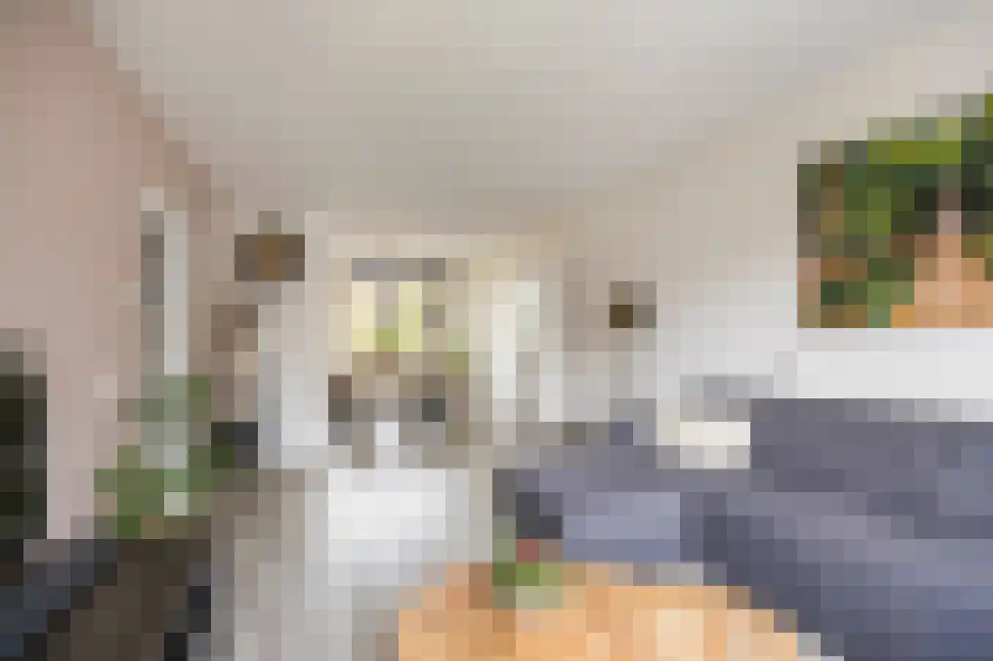 Leliestraat 58 Echt thumbnail 15