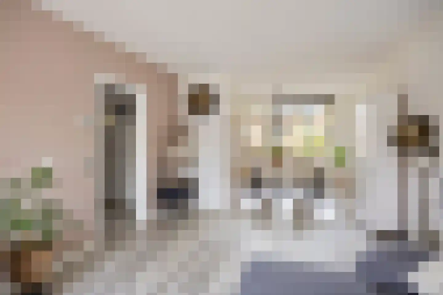 Leliestraat 58 Echt thumbnail 16