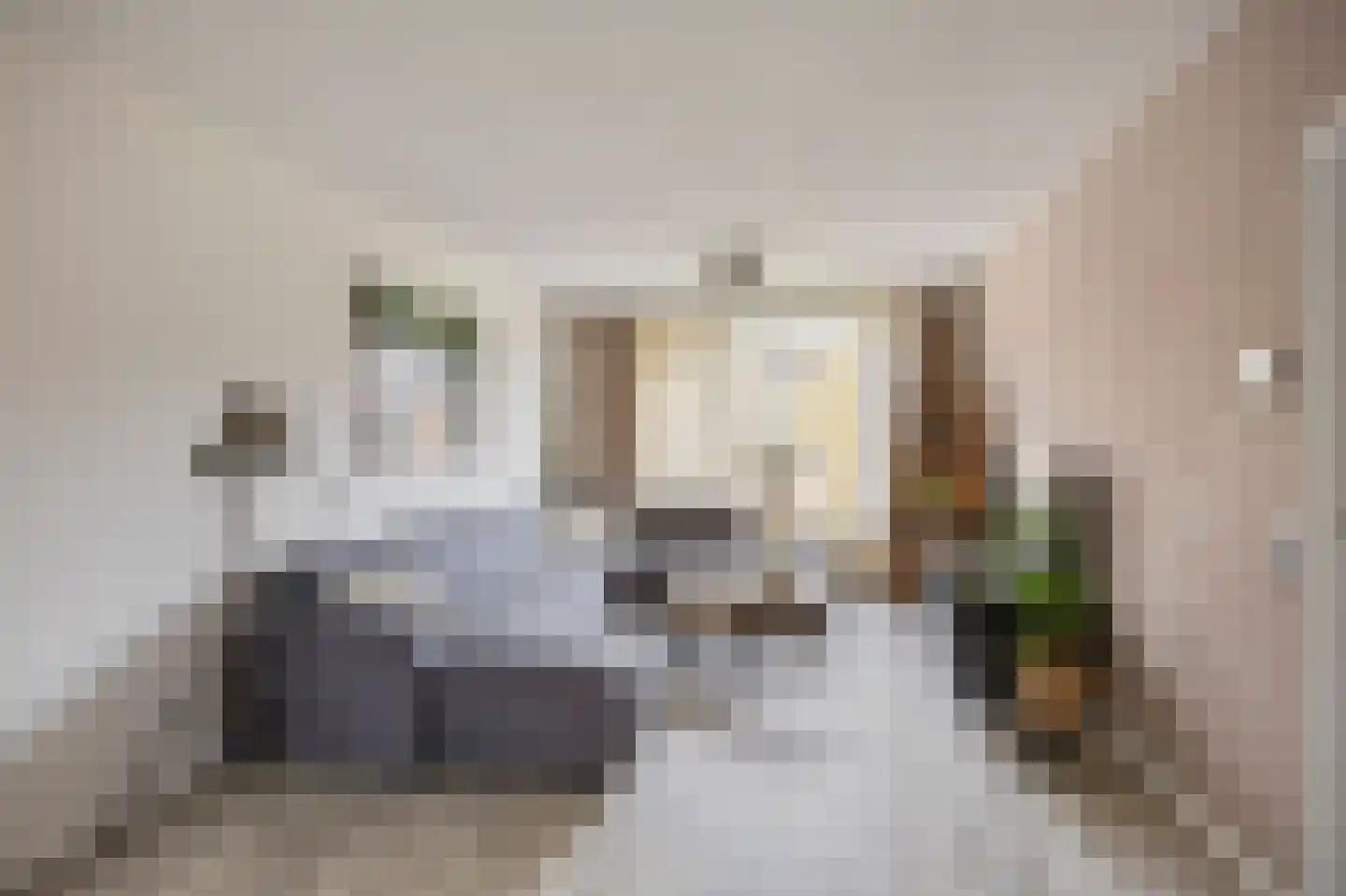 Leliestraat 58 Echt thumbnail 18