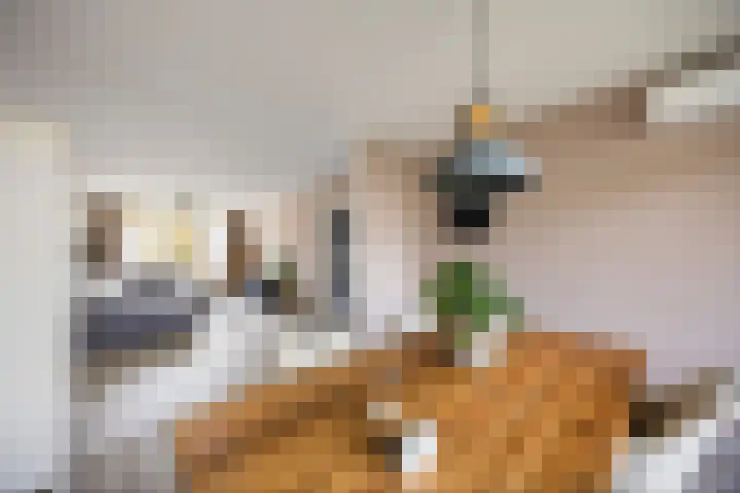 Leliestraat 58 Echt thumbnail 19