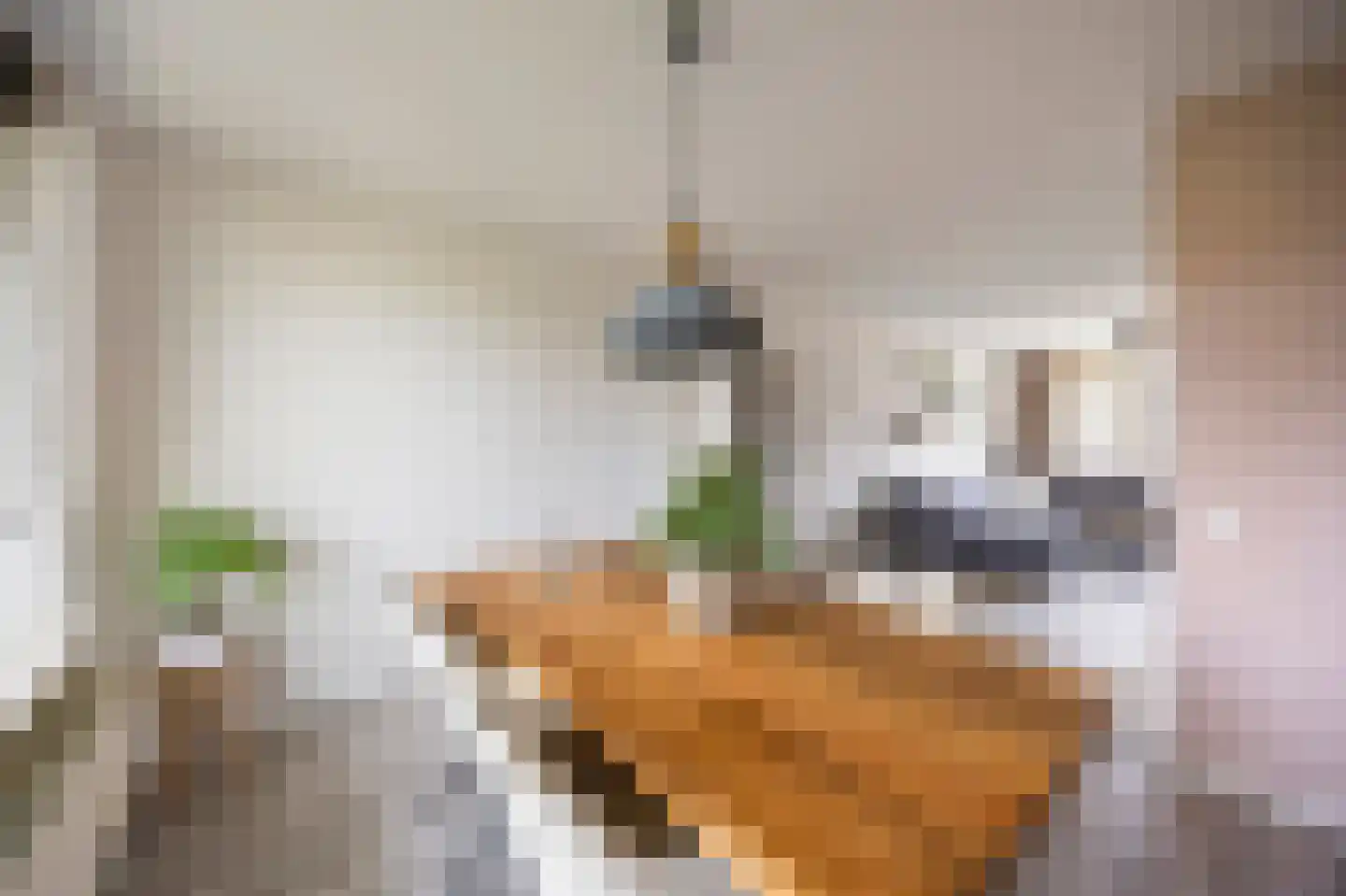 Leliestraat 58 Echt thumbnail 20