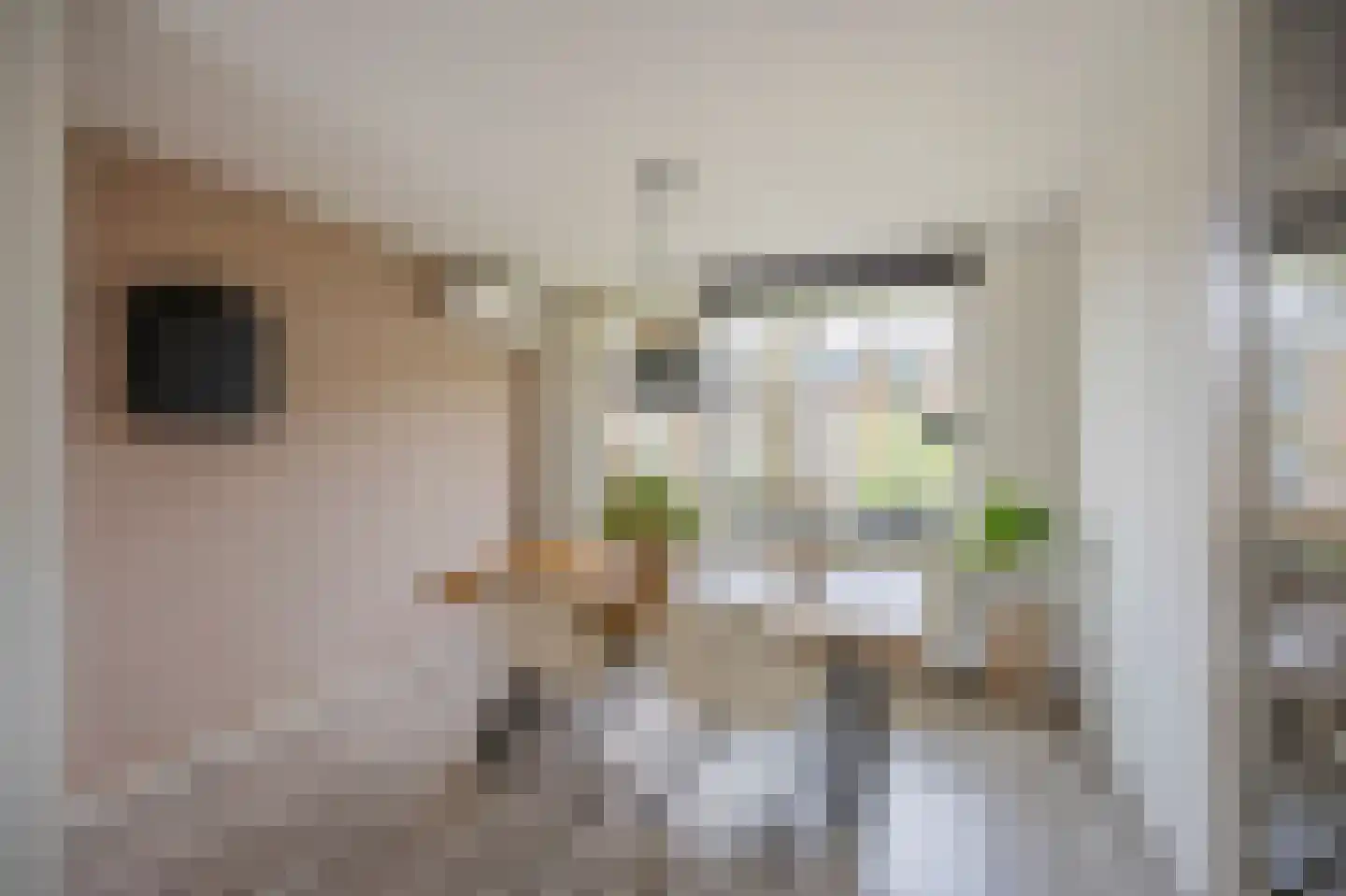 Leliestraat 58 Echt thumbnail 22