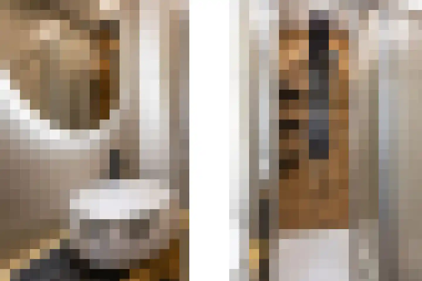 Leliestraat 58 Echt thumbnail 31