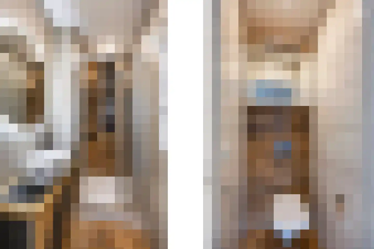 Leliestraat 58 Echt thumbnail 32
