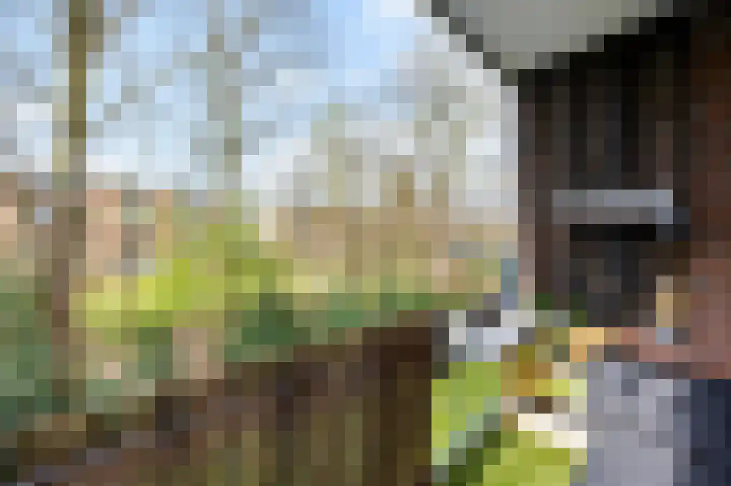 Leliestraat 58 Echt thumbnail 4