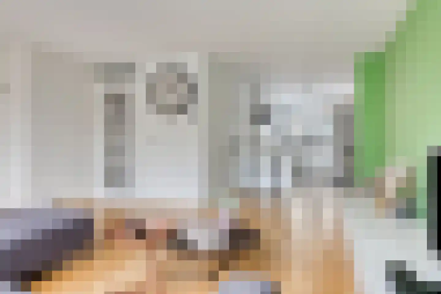 Leliestraat 6 Berkel en Rodenrijs thumbnail 15