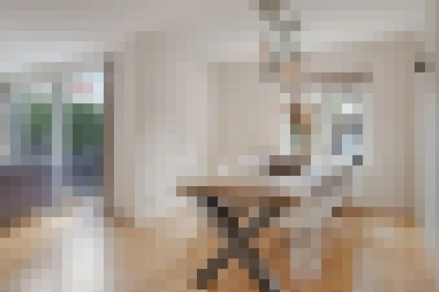 Leliestraat 6 Berkel en Rodenrijs thumbnail 23