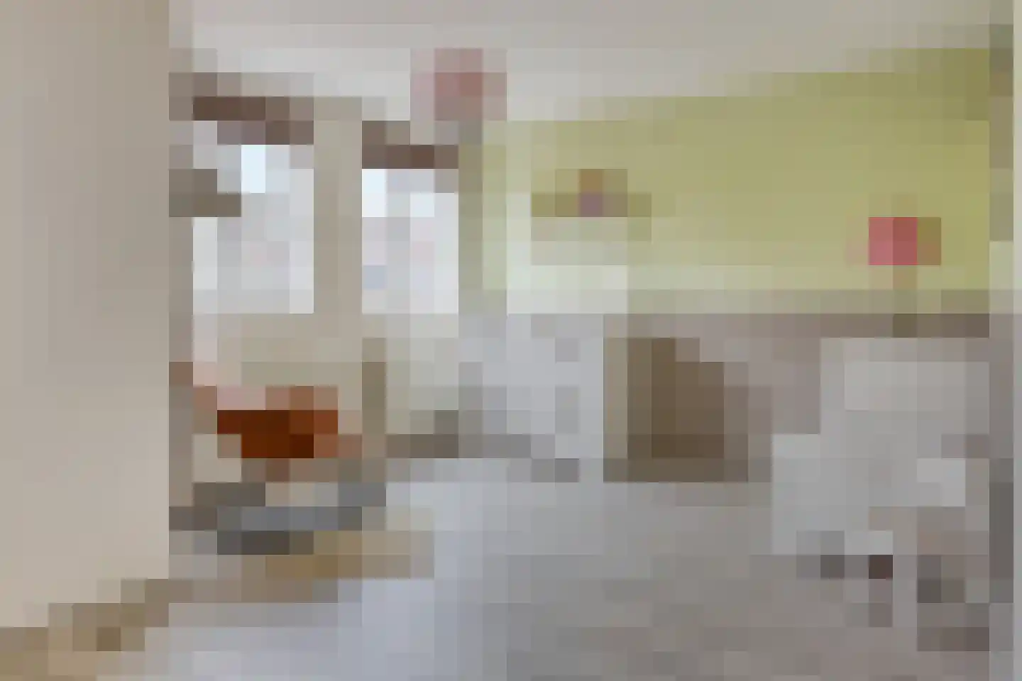 Leliestraat 6 Berkel en Rodenrijs thumbnail 32