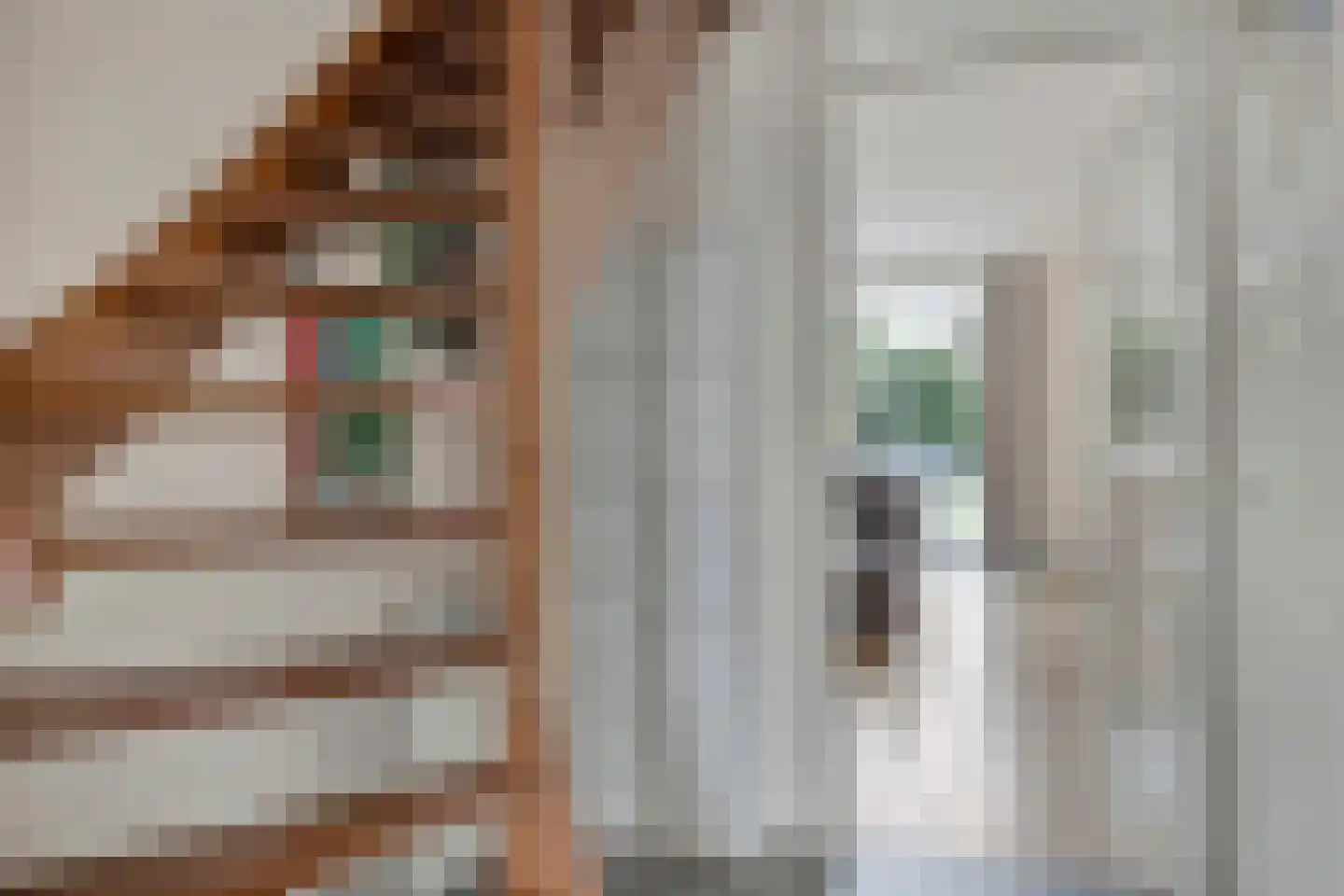 Leliestraat 6 Berkel en Rodenrijs thumbnail 6