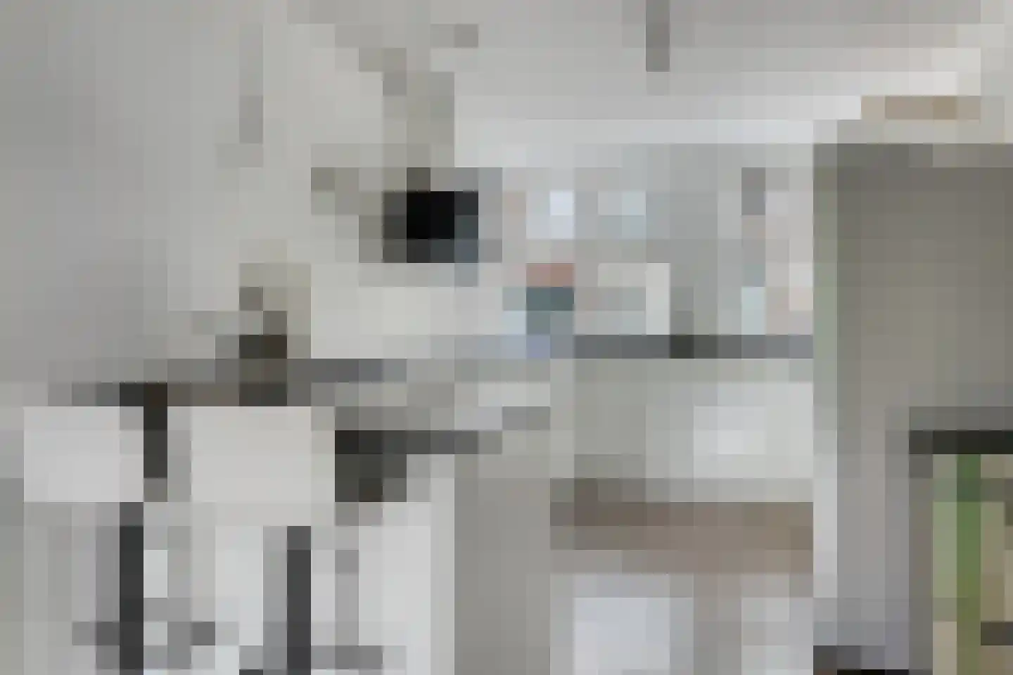 Leliestraat 6 Berkel en Rodenrijs thumbnail 9