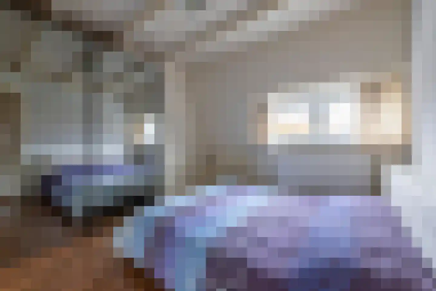 Leliestraat 6 Zeist thumbnail 13
