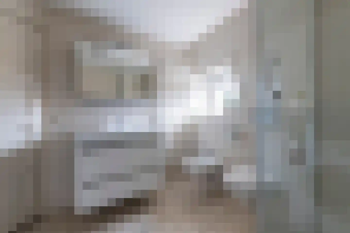 Leliestraat 6 Zeist thumbnail 16