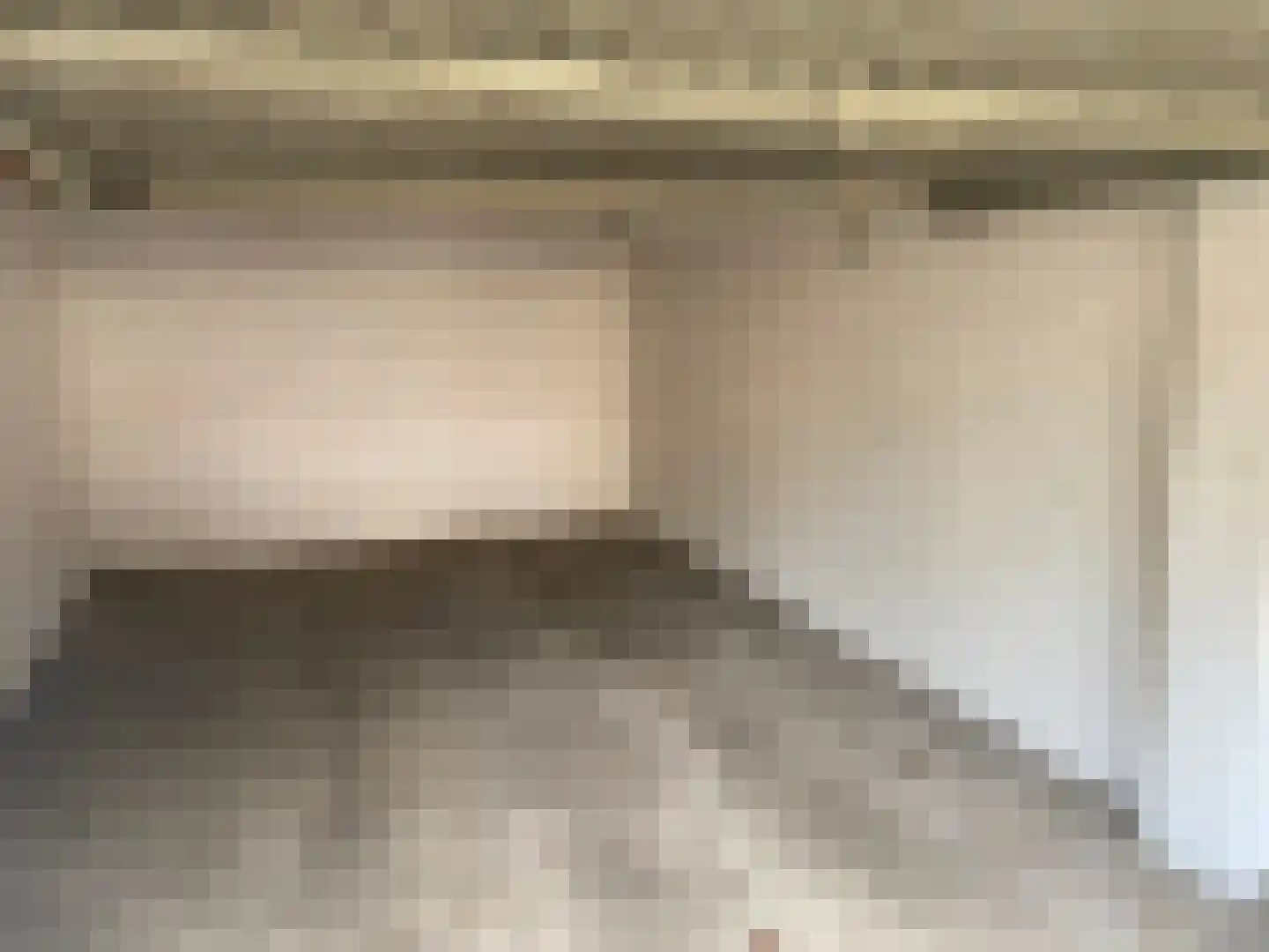 Leliestraat 61 Echt thumbnail 7