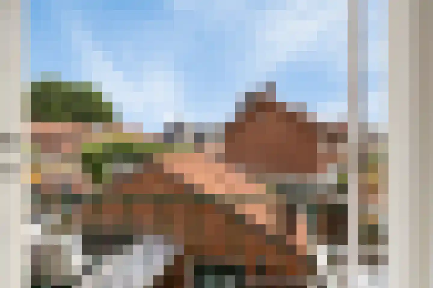 Leliestraat 62 Oldenzaal thumbnail 17