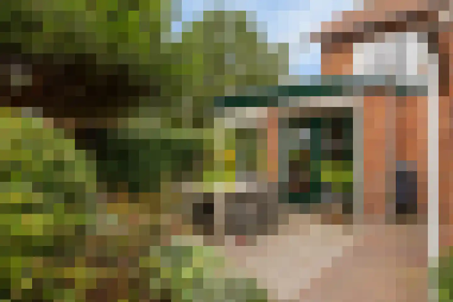 Leliestraat 62 Oldenzaal thumbnail 22