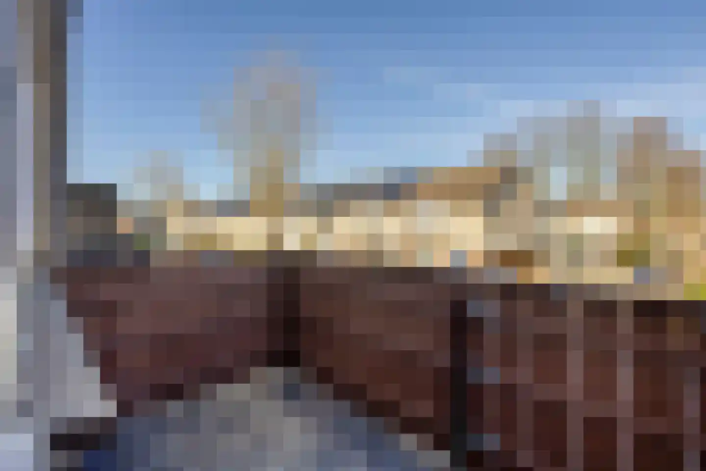Leliestraat 64 Beek en Donk thumbnail 20