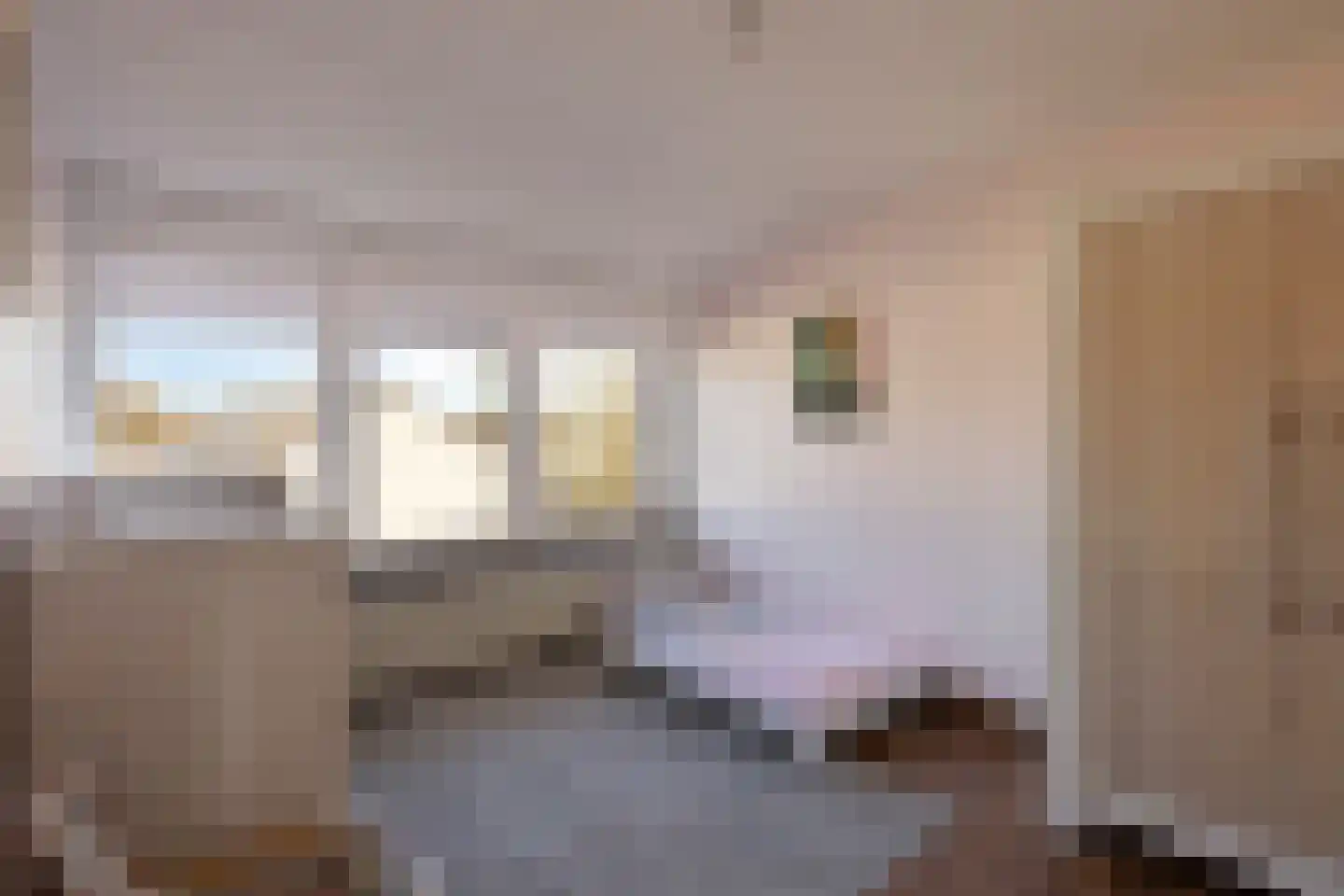 Leliestraat 64 Beek en Donk thumbnail 25